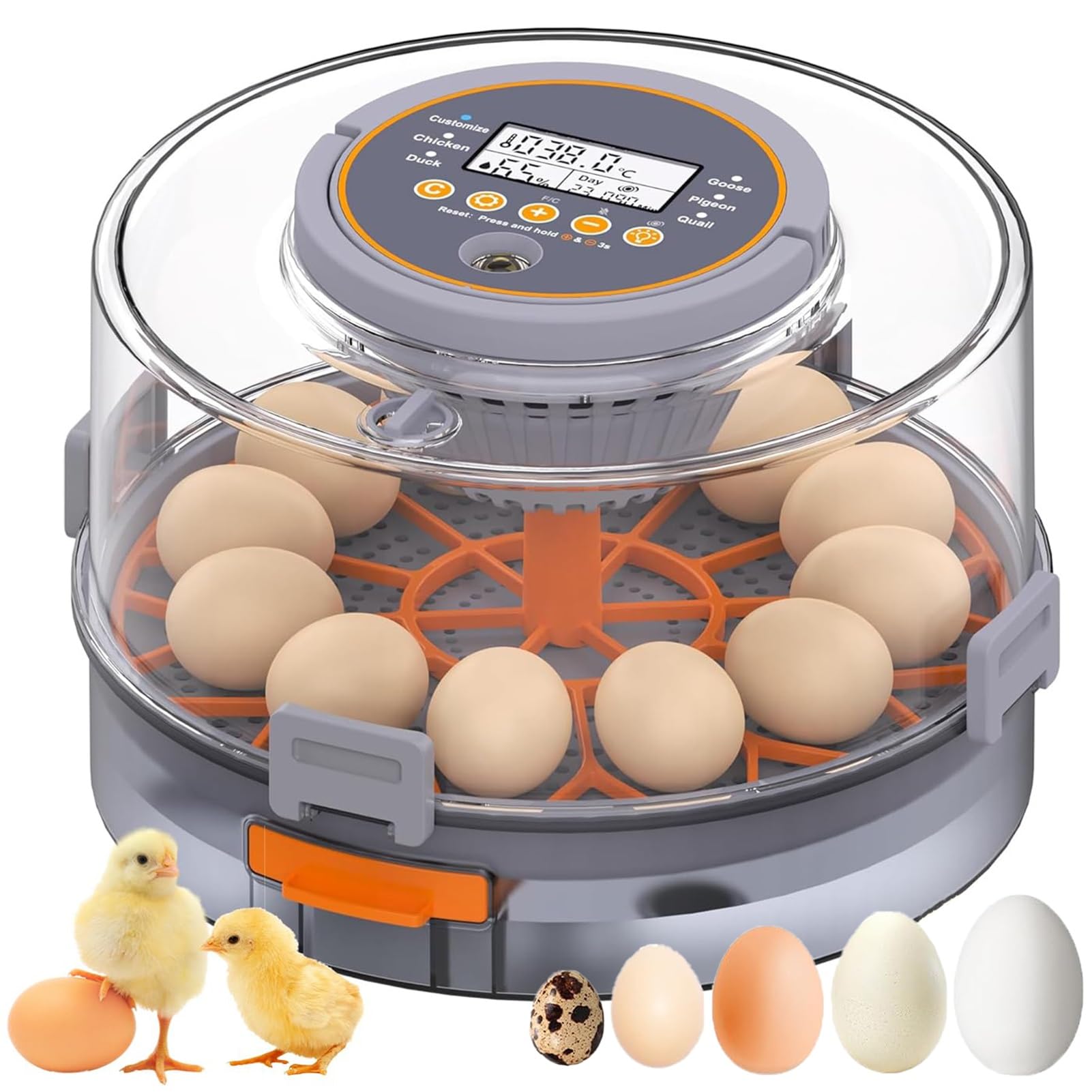 Incubateur pour 12 œufs de poule avec retournement automatique