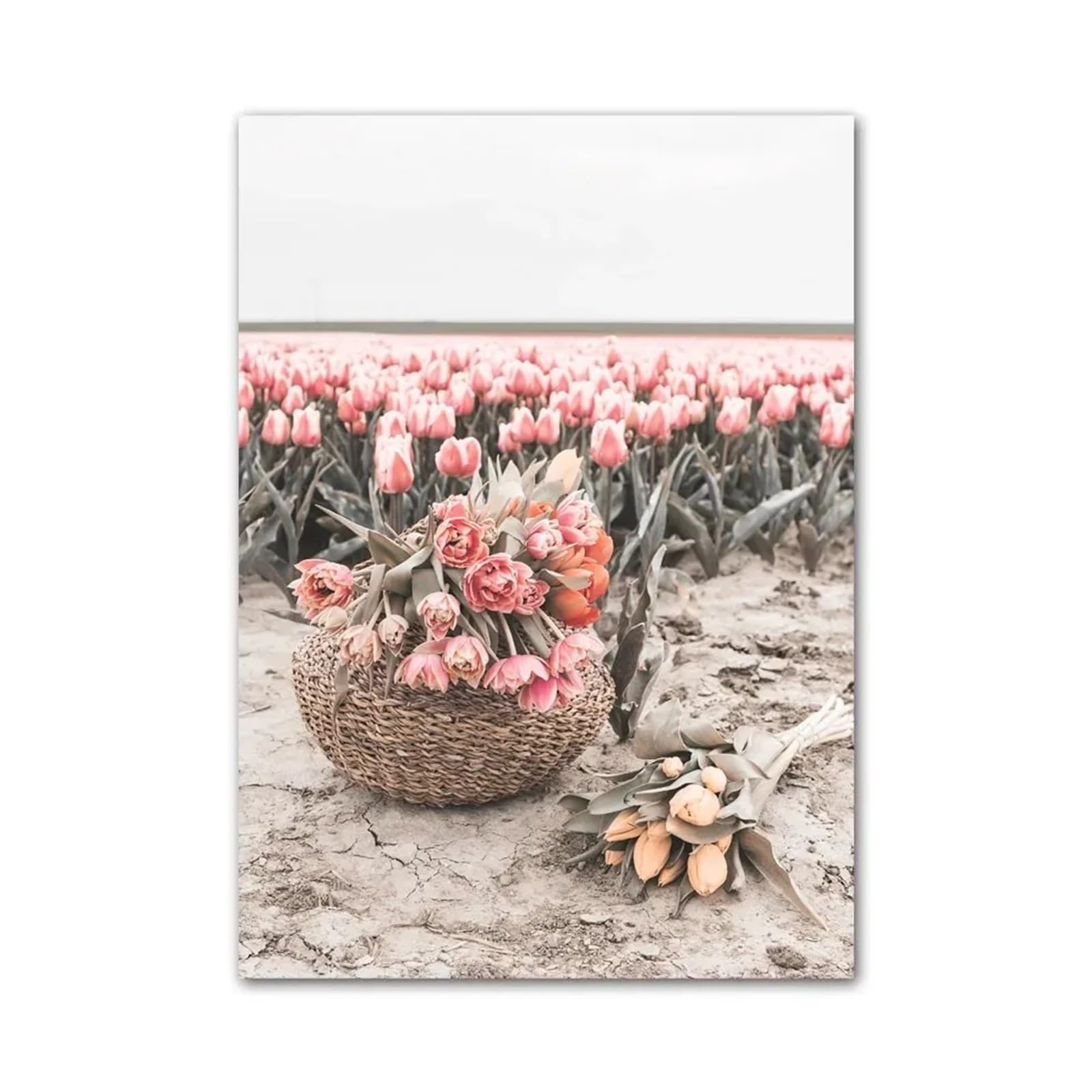 Images murales de paysage chic pivoine et tulipe sur toile premium de vélo moderne