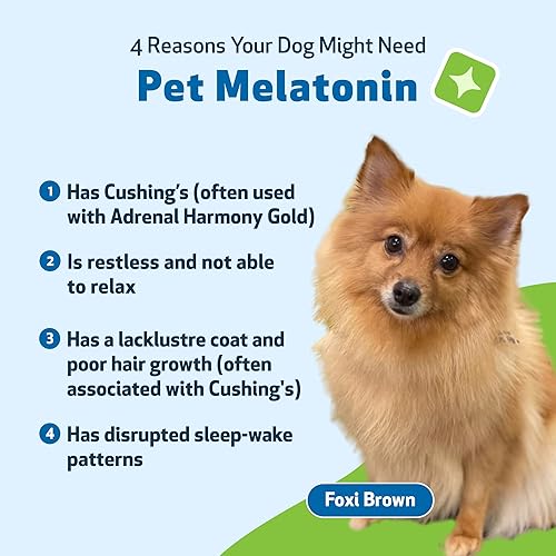 Miniatura 2 de Pet Wellbeing Melatonina para mascotas para perros  Soporte de Cushing, equilibrio de cortisol suprarrenal, ayuda a mantener los patrones normales