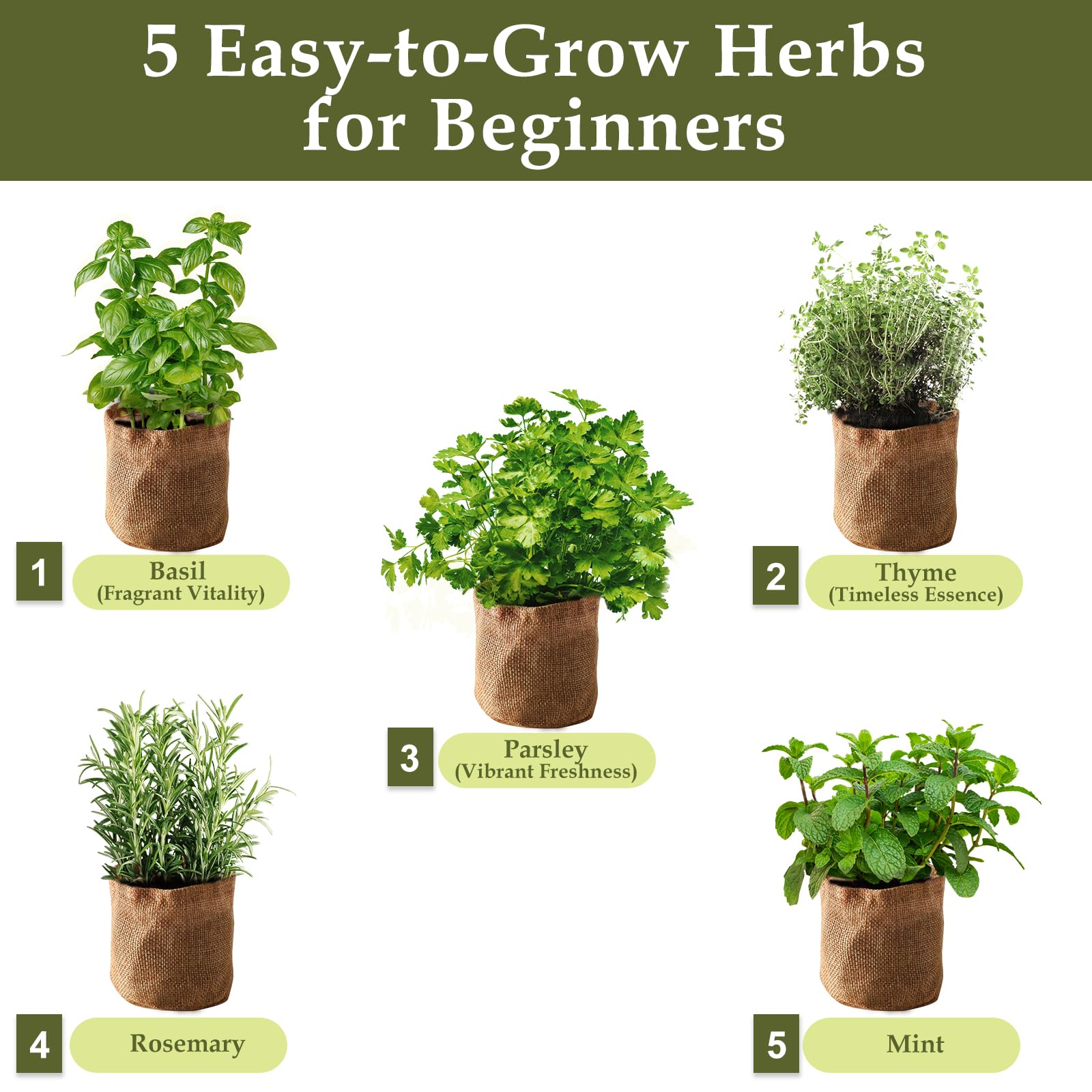 Pot de fleurs de jardin à 5 herbes avec boîte en bois, kit de démarrage de graines de cuisine pour la maison, y compris basilic, thym, persil, romarin, menthe, anniversaire, fête des mères, pendaison