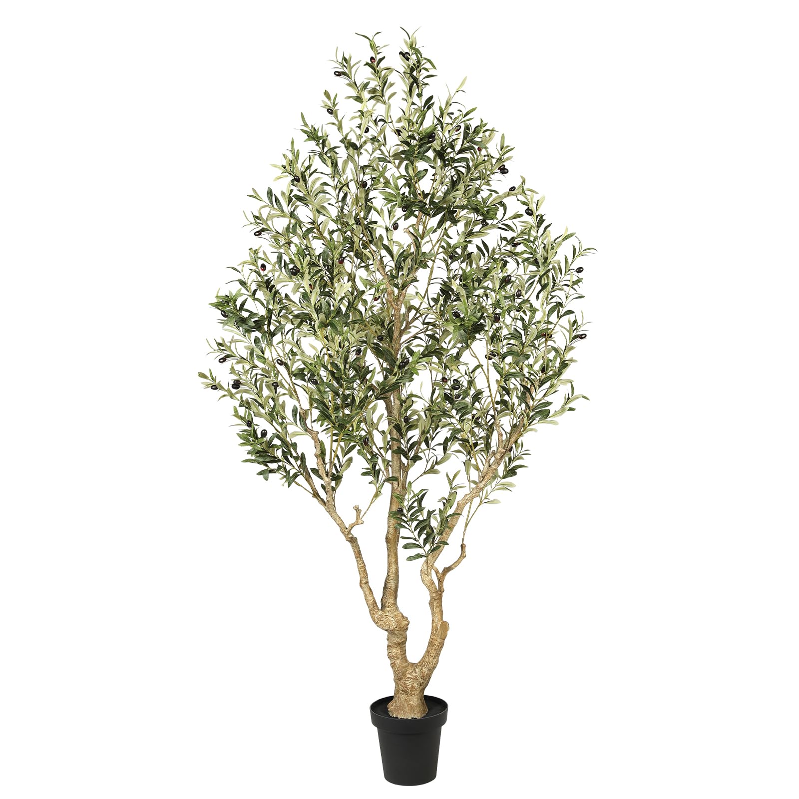FEELEAD Olive Tree 7ft