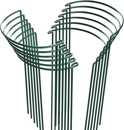 Miniatura 8 de HiGift - Juego de 6 estacas de plantas de 24 pulgadas, jaulas y soporte de medio anillo de 10 pulgadas de ancho x 24 pulgadas de alto de peonía 6