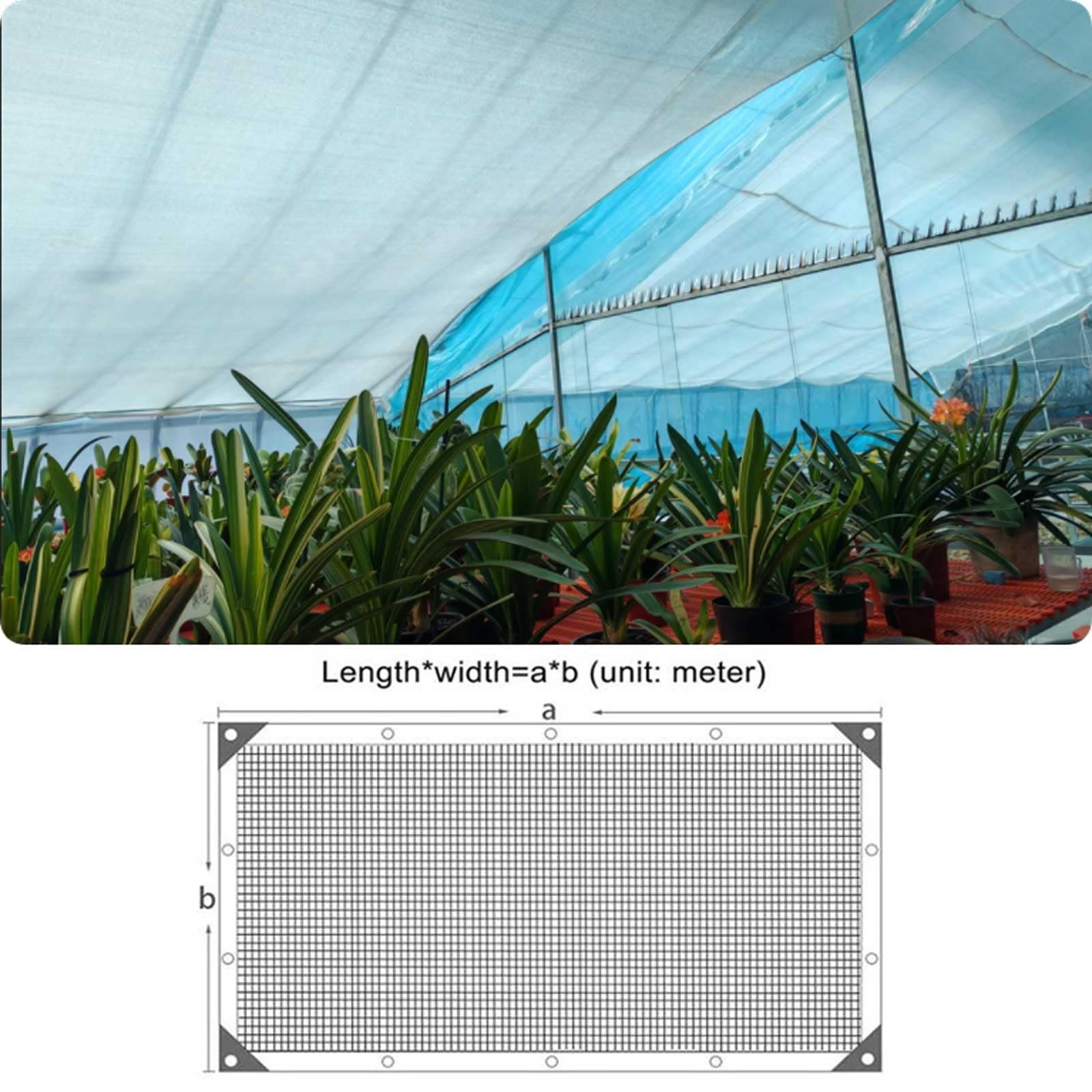 Malla de sombreo del 30% para Invernadero, Malla agrícola Resistente a los Rayos UV con Ojales, jardín, Patio, terraza y Piscina (2 m x 5 m).