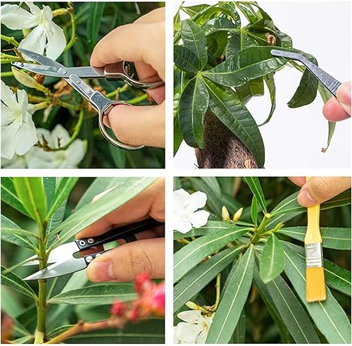 Miniatura 7 de Juego de herramientas de plantación de jardín, 12 piezas, bonsái, suculentas, trasplante en miniatura, hada, mini, jardín, jardinería, herramientas