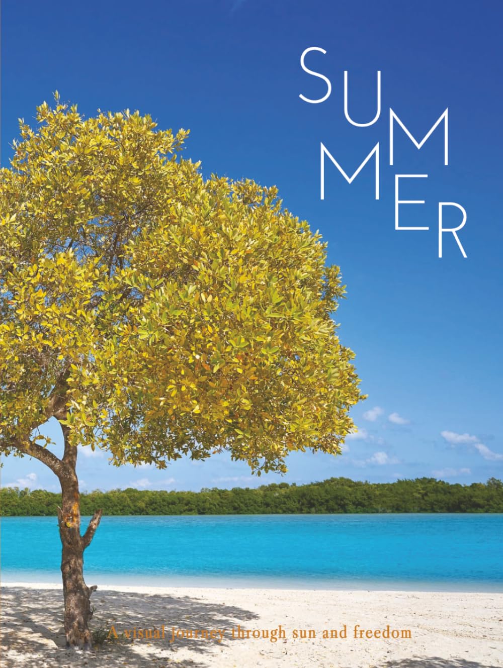 SUMMER: A visual journey through sun and freedom (THE COFFEE TABLE BOOKS)