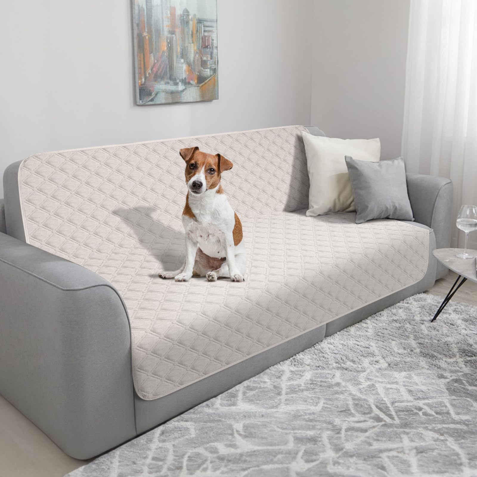 Manta Impermeable para Perros, Almohadilla de Entrenamiento