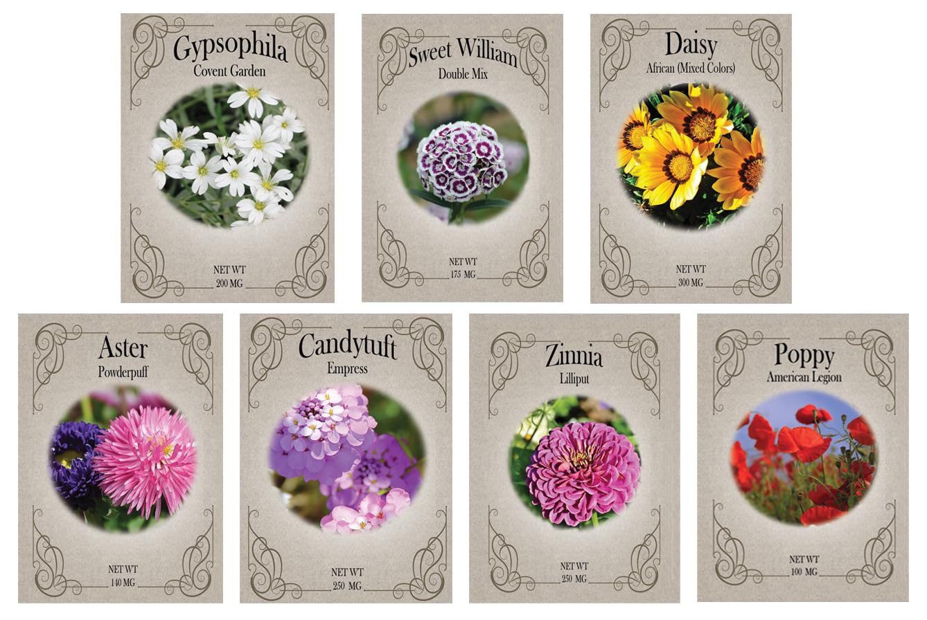climbing rose seeds Mixed Climbing Rose Seeds for Planting  Heirloom, Non-GMO, Outdoor-Fr   Pure Asia Seeds