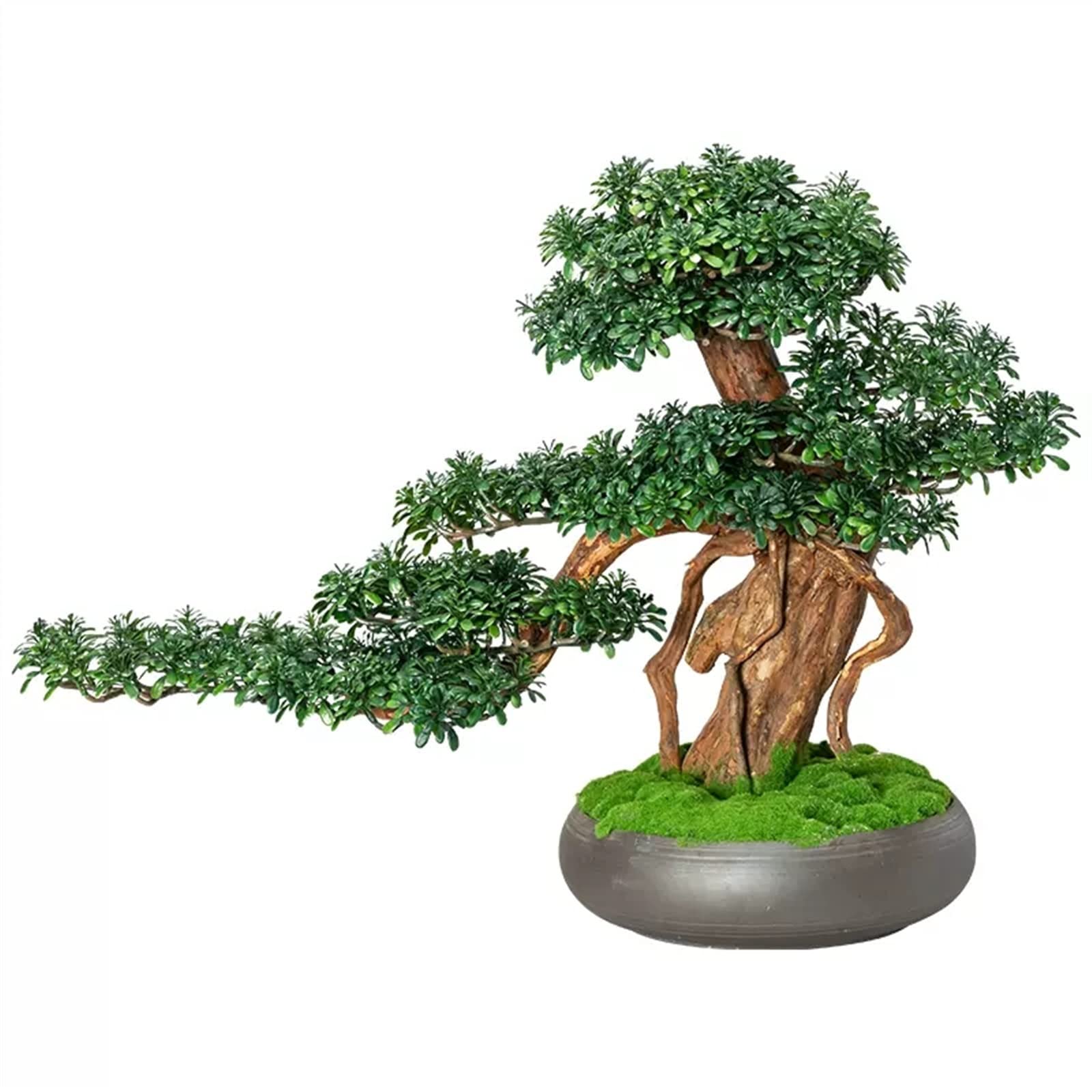 Bonsaï artificiel d'intérieur plante verte en pot de 13 pouces pour salon