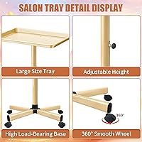 Vista 6 de Bandeja rodante de salón Champagne Colden con ruedas, bandeja de color ajustable para tatuaje (Oro Champán)