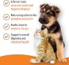 VETIQ Stool Firm Tablets For Cats & Dogs, Contains Kaolin, Pectin & Pumpkin to Help Improve Stool Firmness & Aids Intestinal Health, 45 Tablets (Pack of 1)