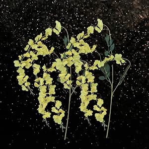 Konnapoo Frame MDT India Konnapoo Kanikonna Flower Artificial for Vishukani (2 nos ...