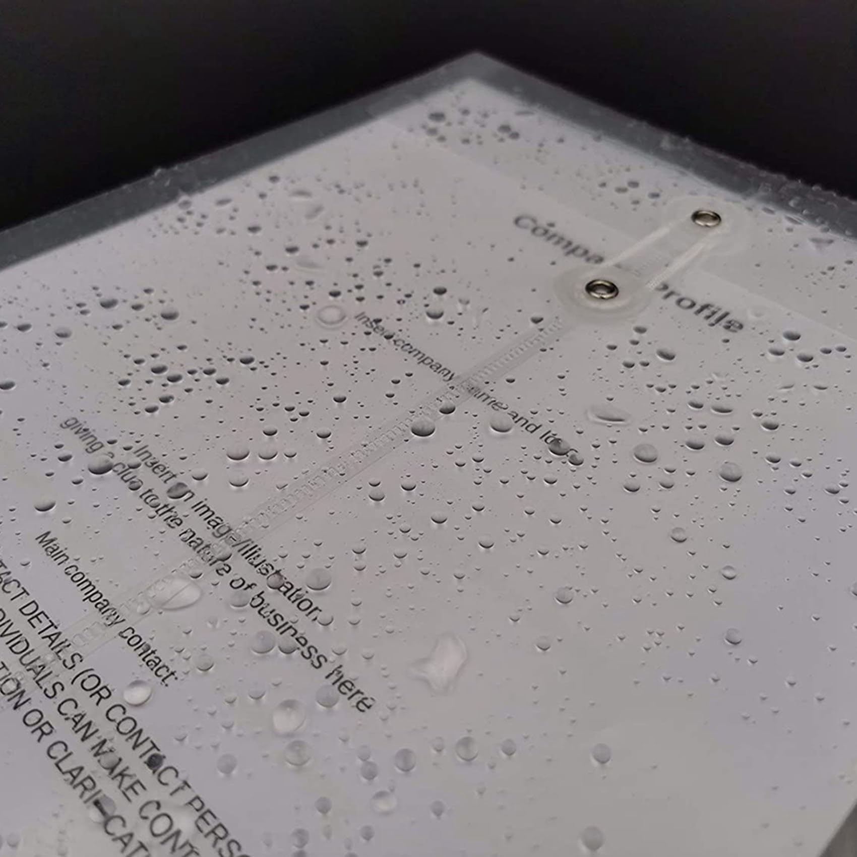 Confezione da 48 buste in plastica trasparente, espandibili, con chiusura a bottone e laccetto, formato A4