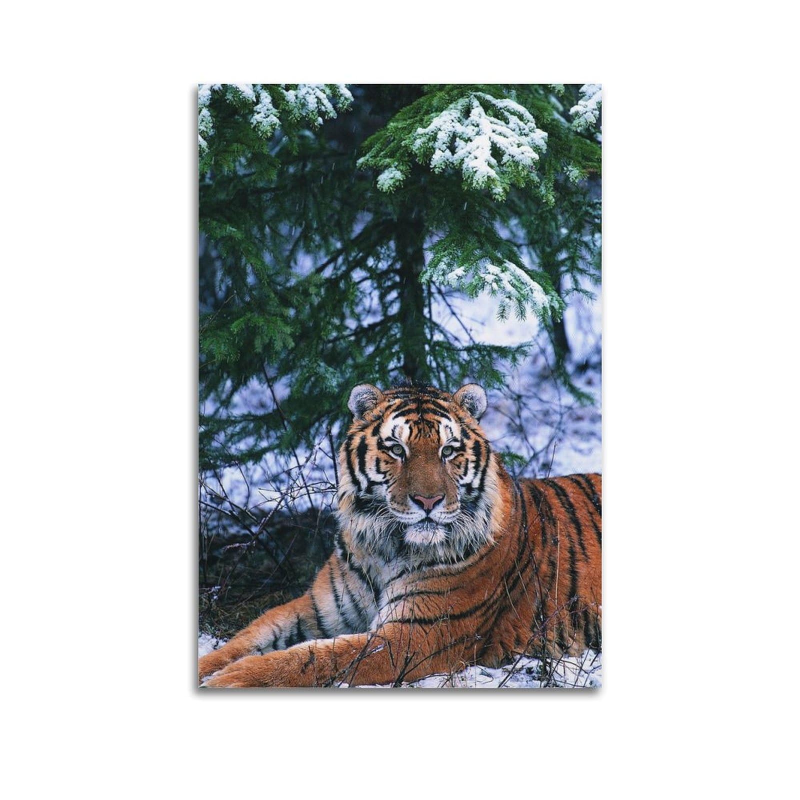 Xkuga Boys Unframe-Style Animal Poster Wildlife Vintage Winter Forest Siberian Tiger Modern Decorative Canvas Prints - Ideal Wall Art For Family, Man Cave, Game Room, & Girls Bedroom 20X30inch(50X75cm)