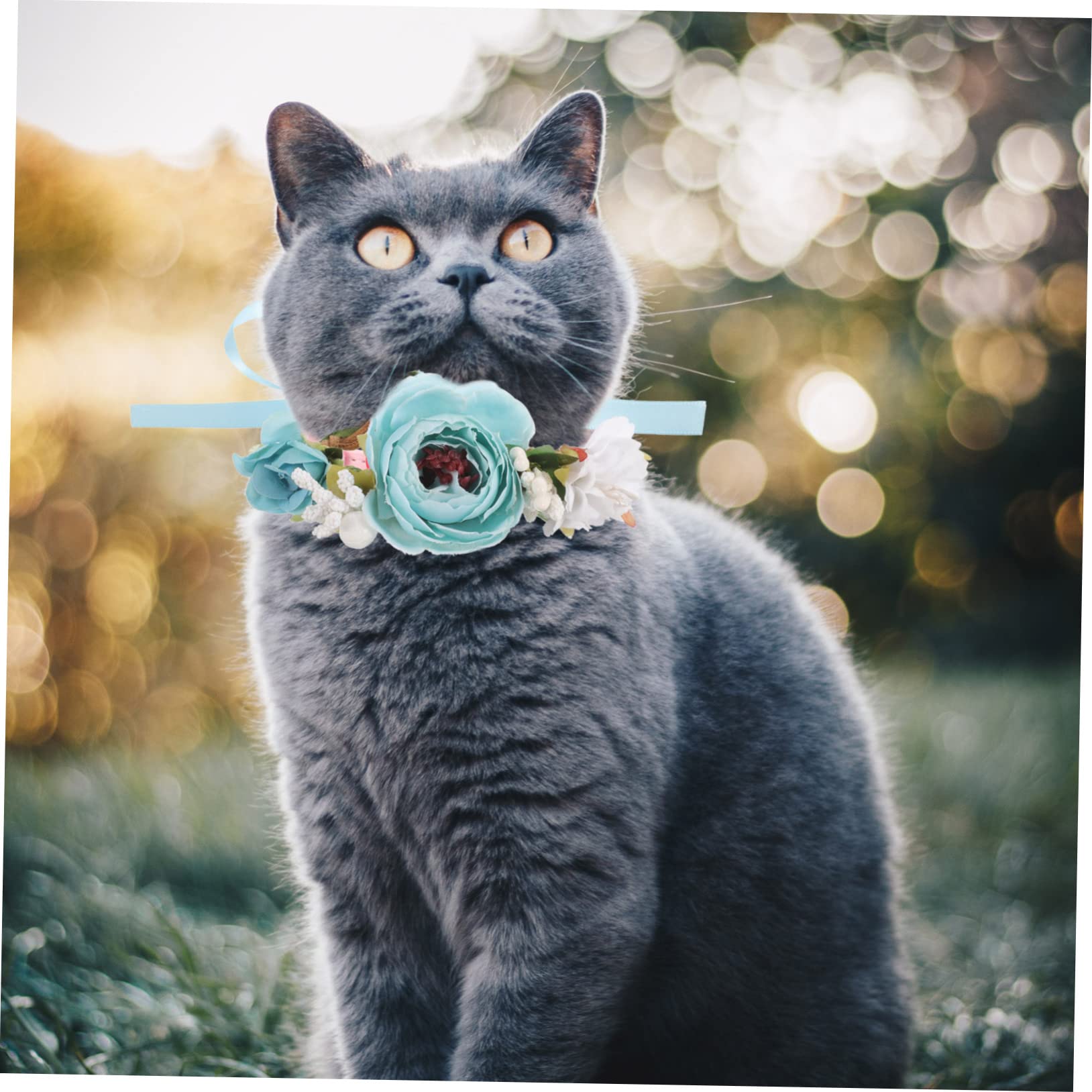 POPETPOP 4 Pz collare per animali domestici collare per cani gatto bel per gatti ghirlanda arredamento adorabile da gattino ornamento del del gatto coniglio collana