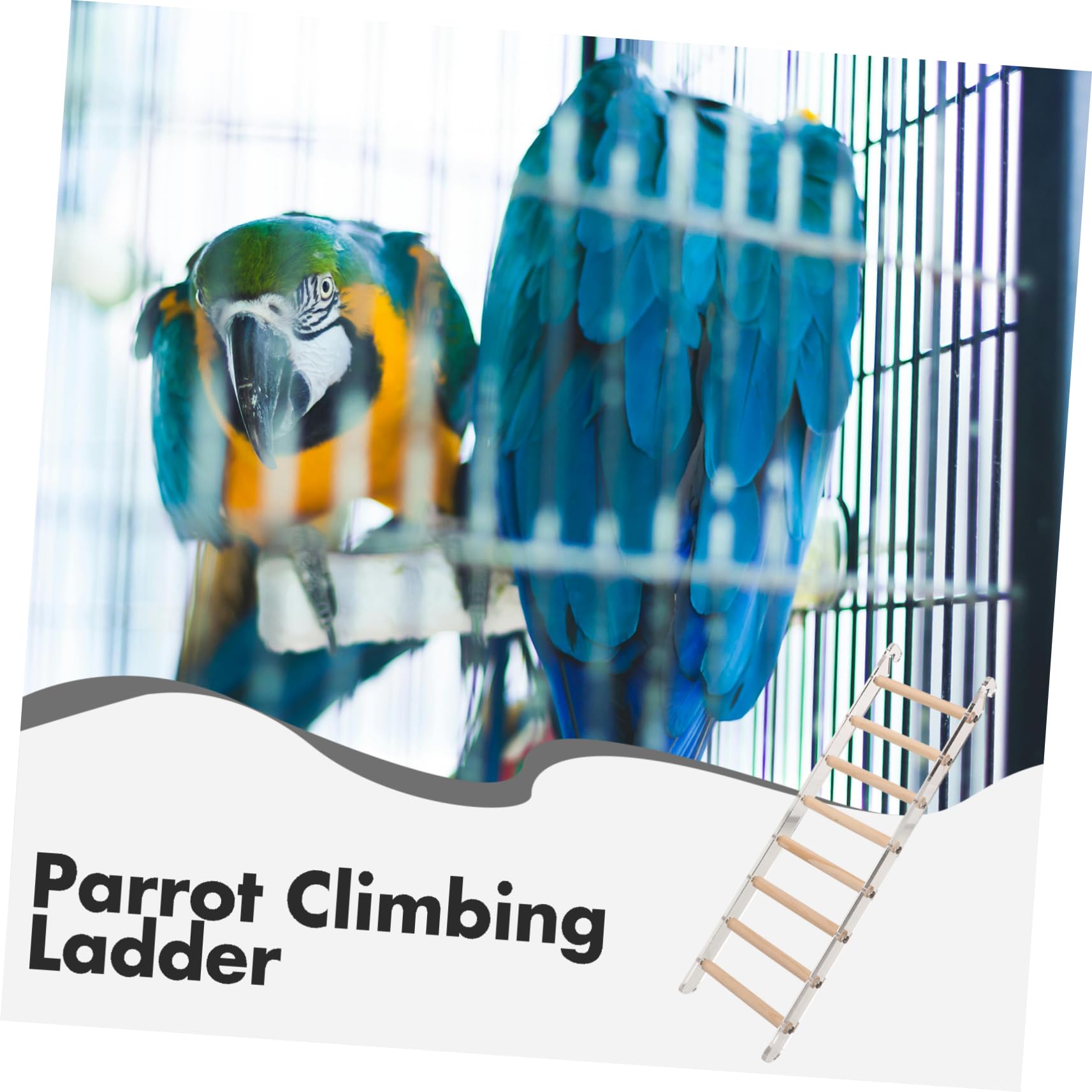 Scala Per Arrampicata Per Pappagalli Legno Gioco Interattivo Per Uccelli Domestici Accessorio Per Voliera Adatta Parrocchetti e Piccole Specie Di Uccelli