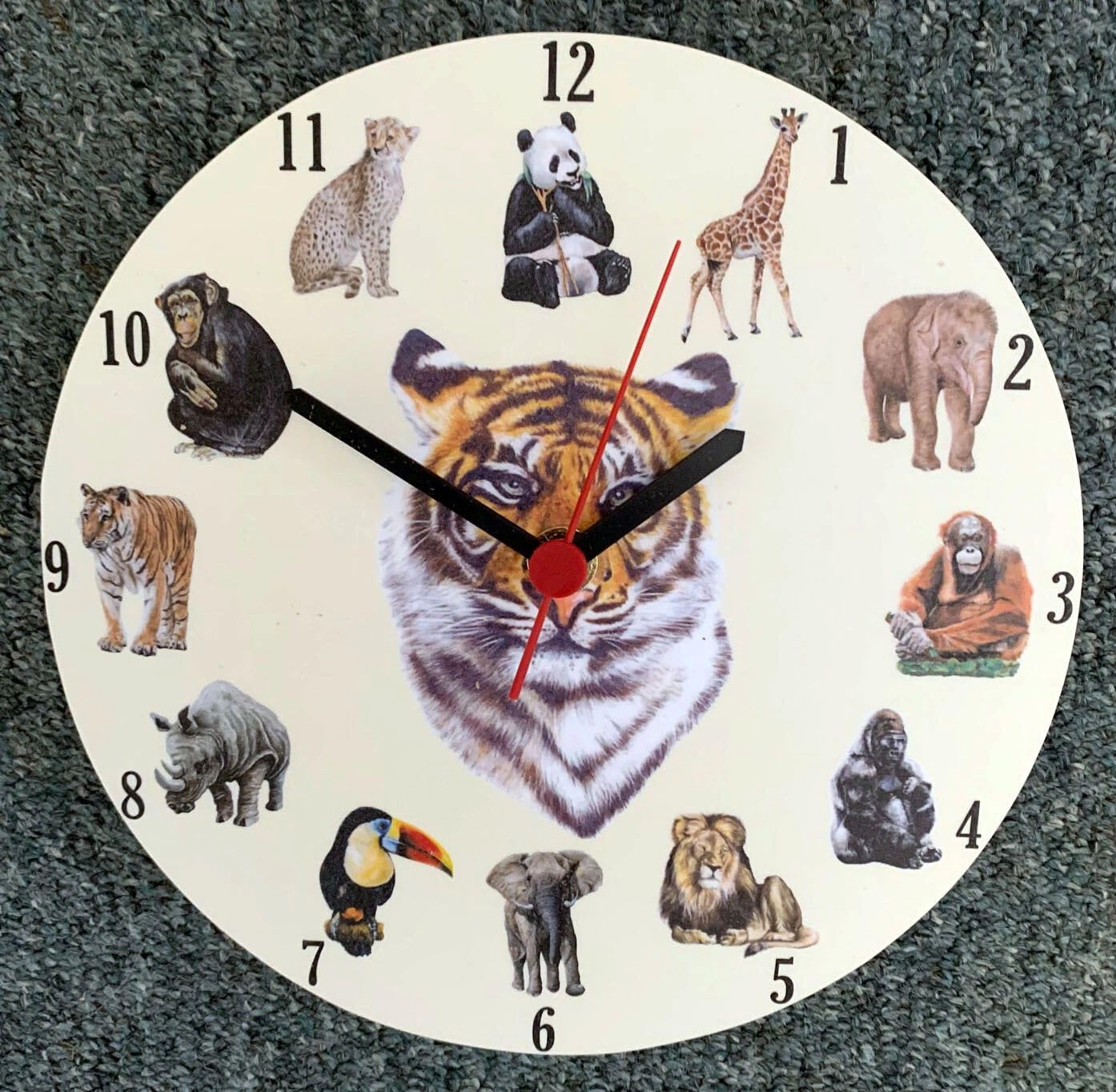 D&A Gifts World Wildlife Clock - Tiger Clock - Wildlife Clocks Zoo Animals - Lions WW32-C