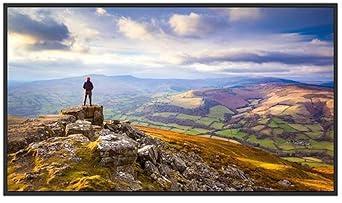Sharp PN-E439 43" Ultra High Definition Commercial Display