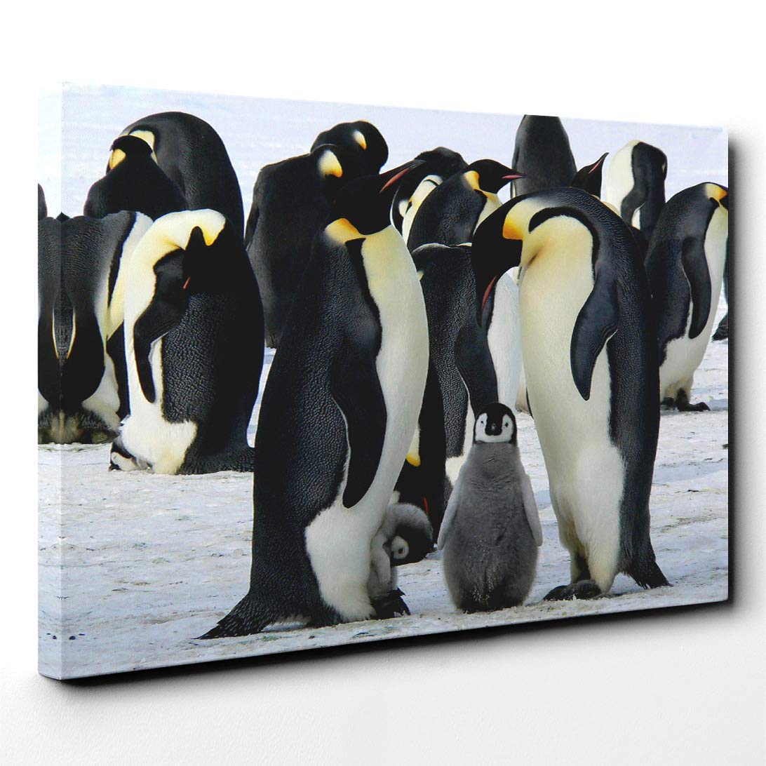 Emperor Penguins Canvas Print | Gallery Wrapped 30mm Frame Wall Art | 30x20 inches | Ready to Hang | Modern Bird Picture | Living Room Bedroom Lounge Office