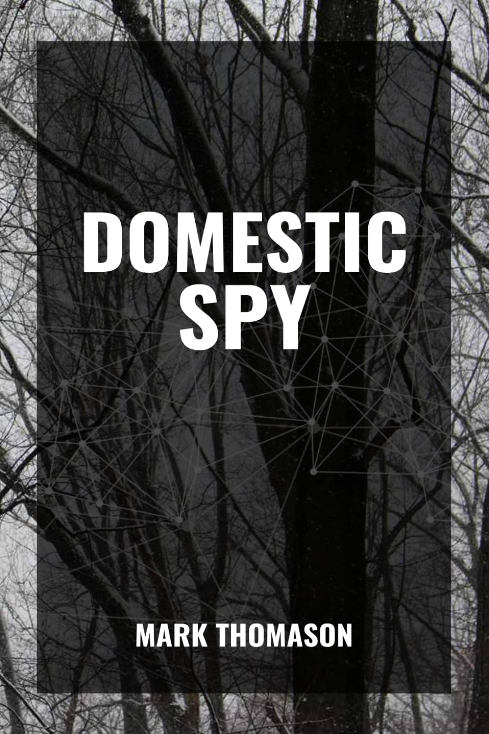 THE DOMESTIC SPY: THE TRUTH ISN’T HIDDEN... IT’S CLASSIFIED.