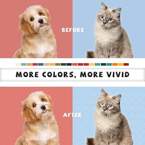 Miniatura 7 de EGUEGU Pintura personalizada por números, haz tu propia imagen privada para adultos principiantes, kit de pintura acrílica personalizado sobre