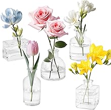 Set of 5 Mini Glass Vases: 125 ml Transparent Vase – Small Glass Vase for Decoration, Wedding Table, Home, Birthdays, Parties, Dishwashers