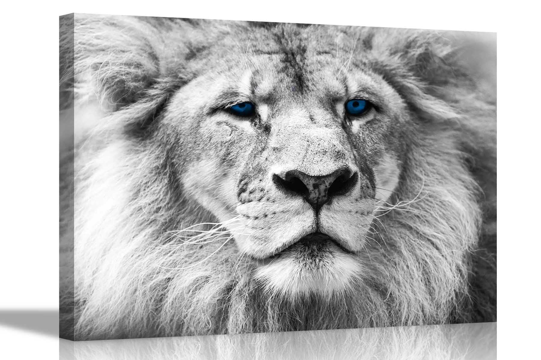 Artley Prints White Lion Blue Eyes Canvas Prints Wildlife Wall Art Pictures Framed Office Photos Hanging Artwork Living Room Animal Posters Large 76 X 50Cm (30 X 20 Inches)