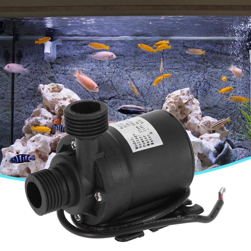 Bomba de jardín DC 12 V 800 L/H, mini bomba de agua para acuario pequeño, jardín, estanque, transportador de herramientas, máximo ascensor: 5 m