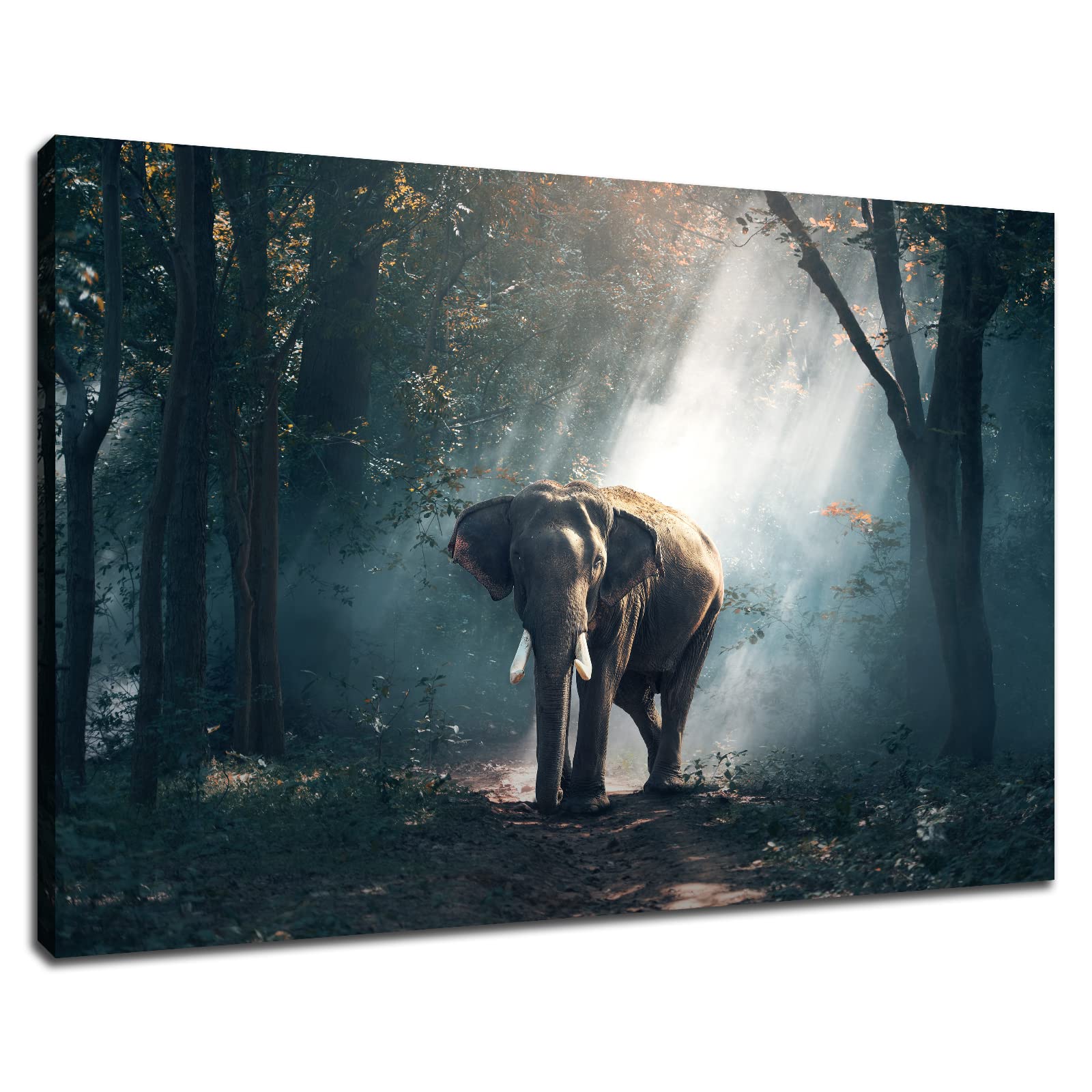 Photo 1 of 1 Panel Wall Art Elephant Poster on Canvas Framed Art Paintings Home Decor Modern Artwork Picture Giclee Print for Modern Home Decoration [18''W x 12''H] 12 x 18 Inch Elephant-01