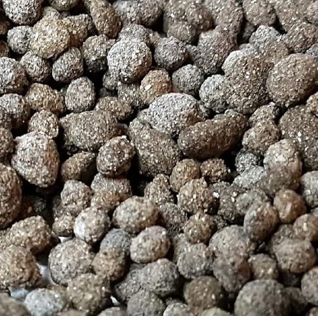Biohome Biogravel es un Nuevo Medio filtrante para filtros de acuarios; Material de Filtro también Adecuado…