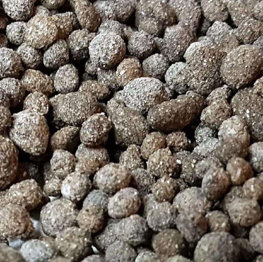 Biohome Biogravel est Un Nouveau Support filtrant pour Filtre d'aquarium ; matériau filtrant également adapté aux Conditions étroites - Bio.Biogravel.1 kg