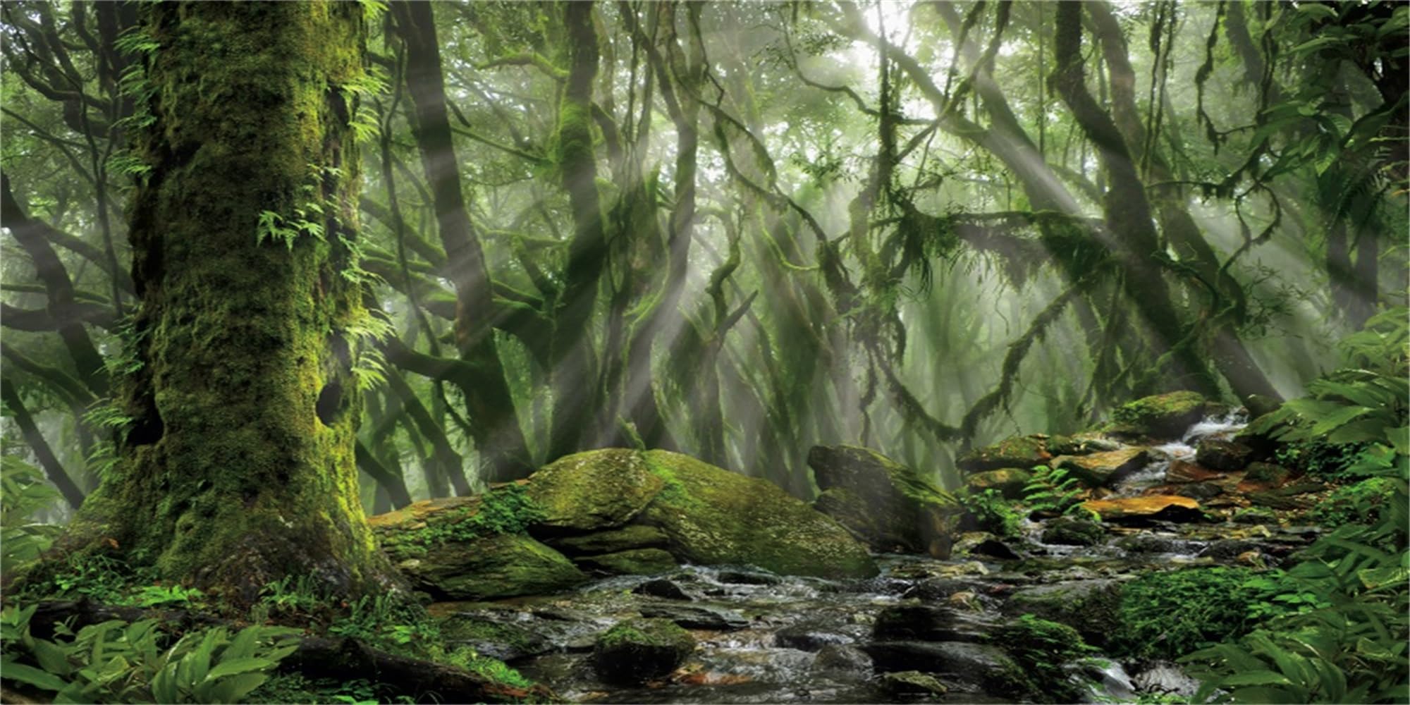 MIRRORANG 76x46cm Rainforest Terrarium Background Deep Forest Aquarium Background Sunshine Foggy Water River Green Huge Trees Reptile Habitat Background Durable Vinyl Background