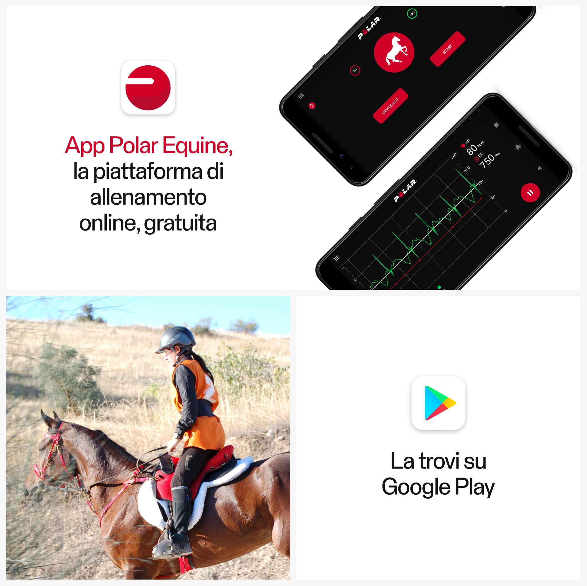 Polar Sensore H10 Healthckeck