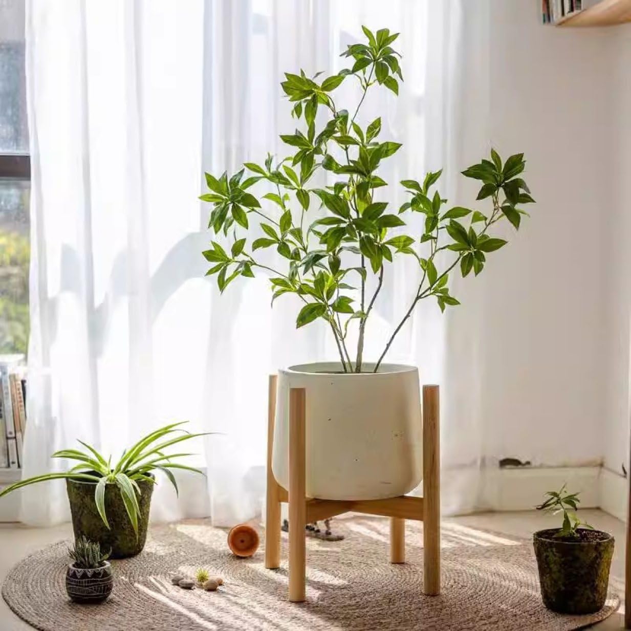 アジアン家具 -nest-ネスト 楽天市場】プランターベース 花台 プランタースタンド Mサイズ 木製