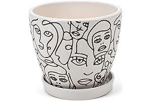 Appealing Monochrome Planters for Every Room: Black & White Sketched Faces Ceramic Planters