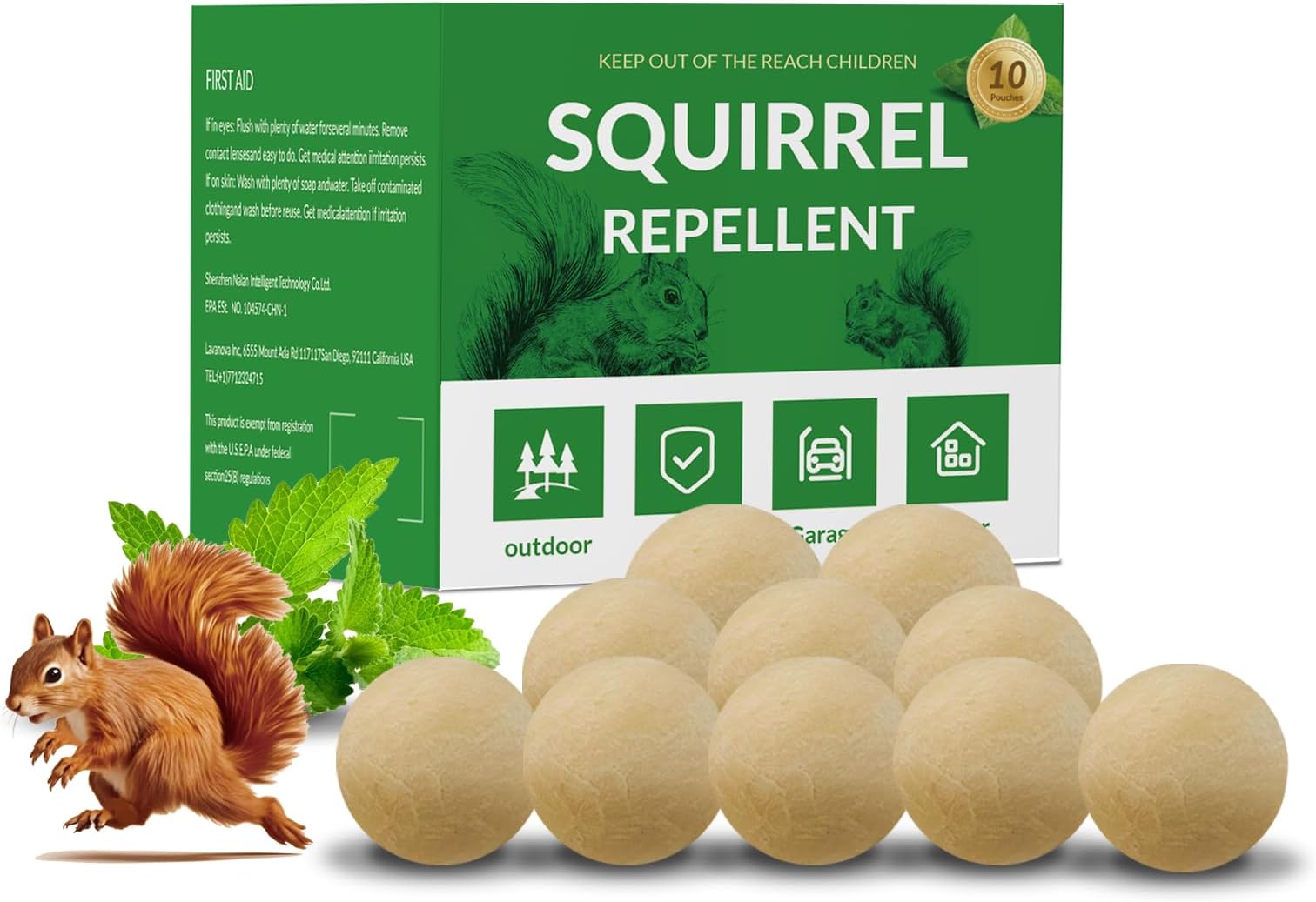 Amazon.com: Squirrel Repellents, Chipmunk Repellent Outdoor, Mint ...