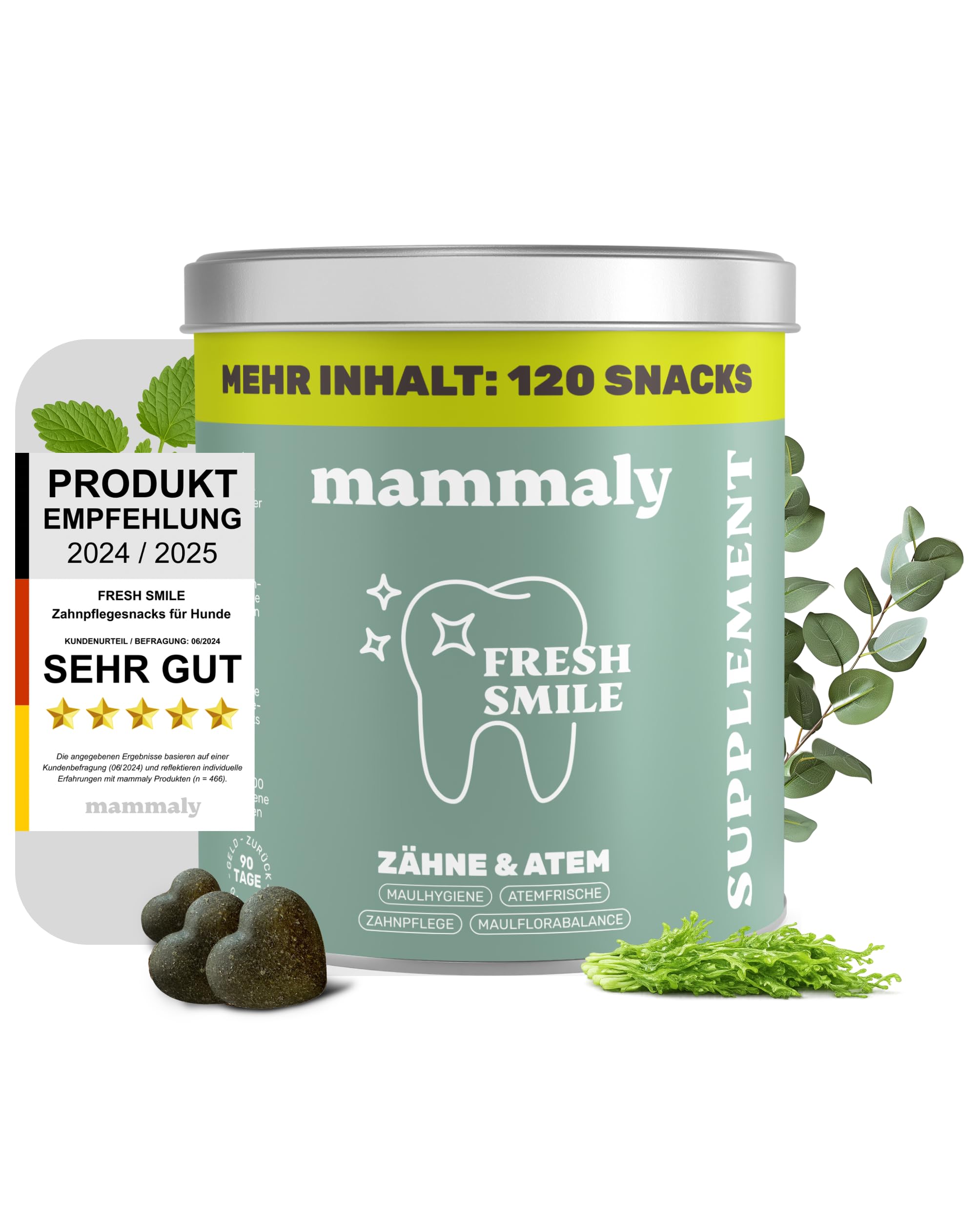 10-in-1 Zahnpflege Leckerli für Hunde - Fresh Smile 120 Snacks (350g) von mammaly - Gegen Mundgeruch, Zahnstein mit Pfefferminz, Seealge, Vitamin C, Petersilie u. v. m. für Maulhygiene, Mundpflege