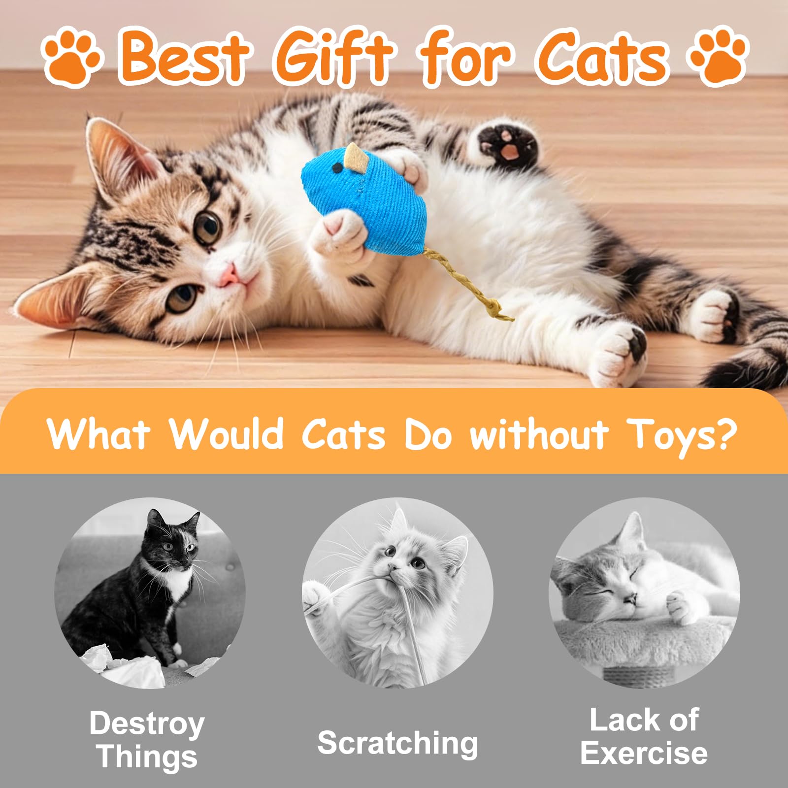 Set 9 Giocattoli Per Gatti Con Erba Gatta – Topini E Bruco In Peluche Per Mordere, Gioco Interattivo Per Denti Sani