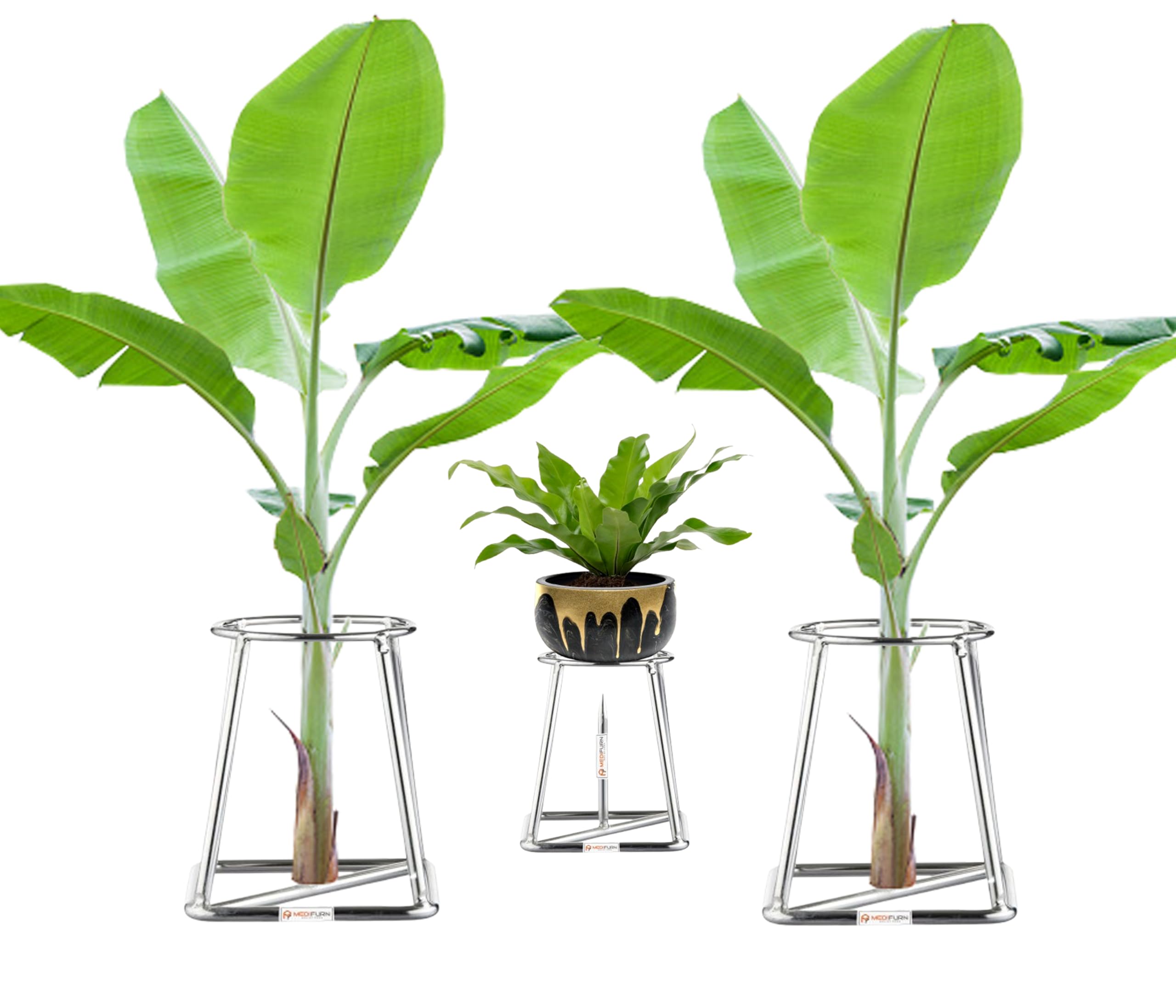 Medifurn Pooja Banana Plant holder Stand fully stainless still Compact Silver Decorative Ideal for Placing The /Tree/stem Stand for puja/Religious and Other Ceremonies Set of 2 (B0DFYMVHN7) Amazon Price History, Amazon Price Tracker