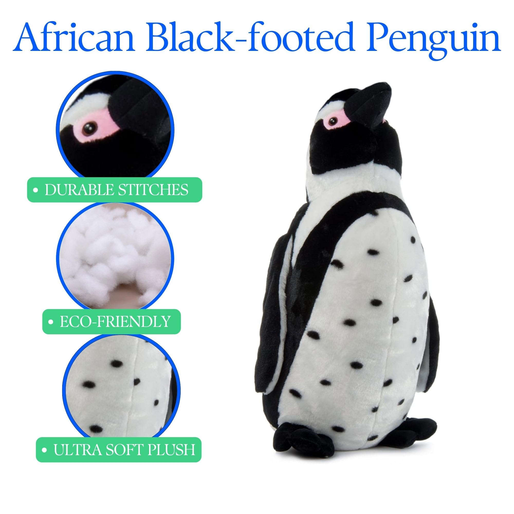Amazon.co.jp: The Petting Zoo アフリカン ブラックフットペンギン