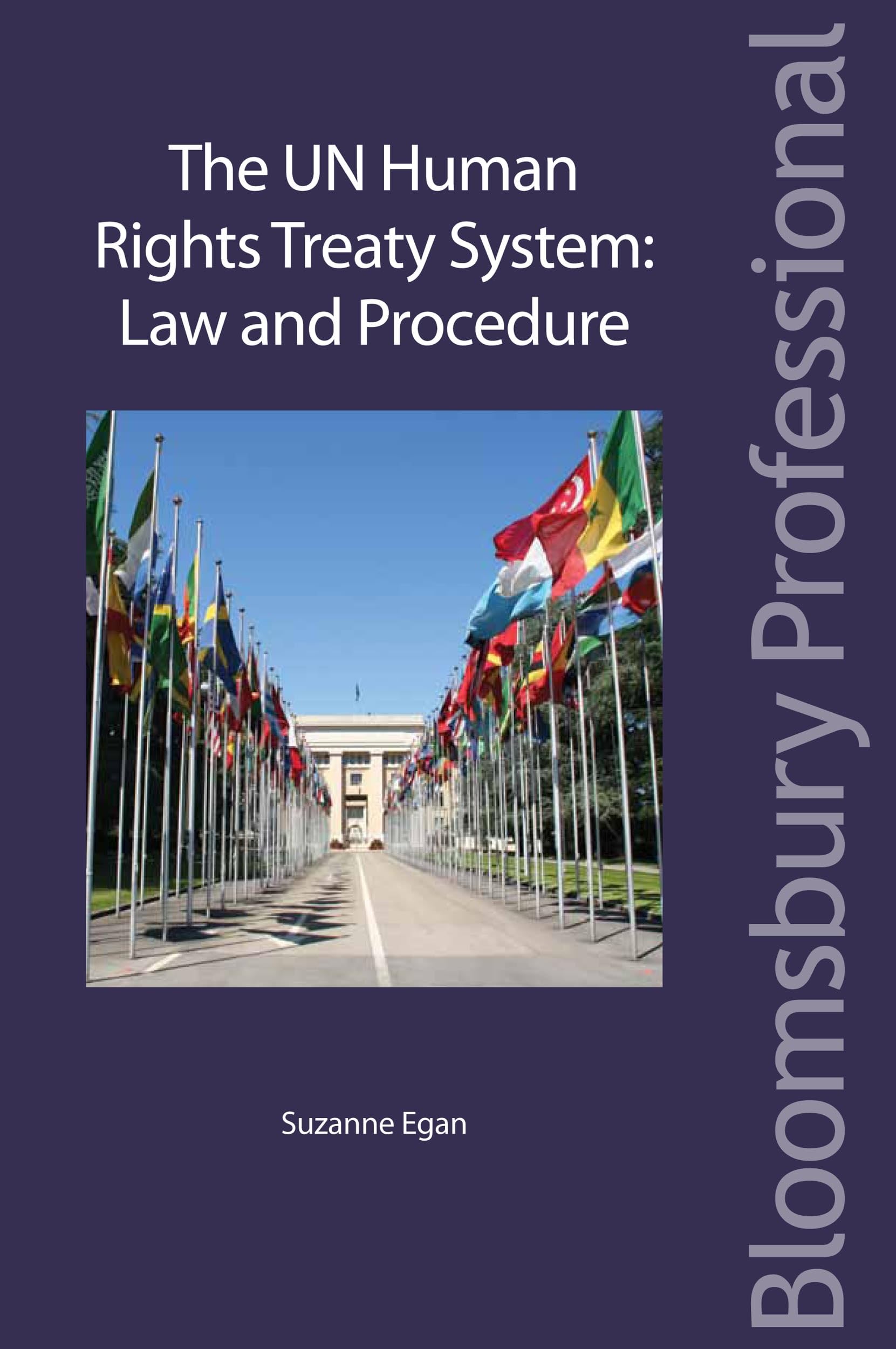 Buy The UN Human Rights Treaty System: Law and Procedure — BookShops.in