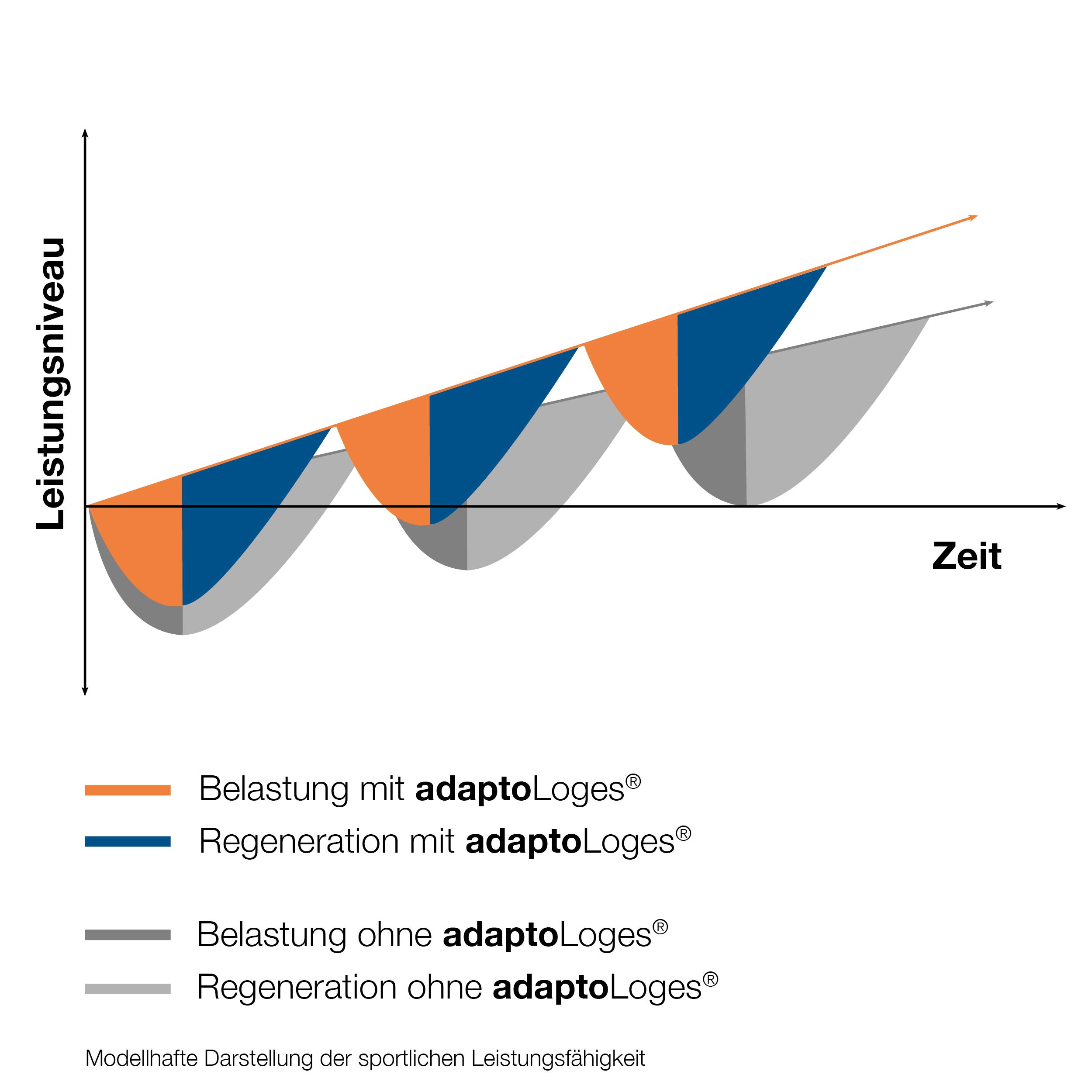 adaptoLoges - 240 Kapseln - Zur sportlichen Unterstützung