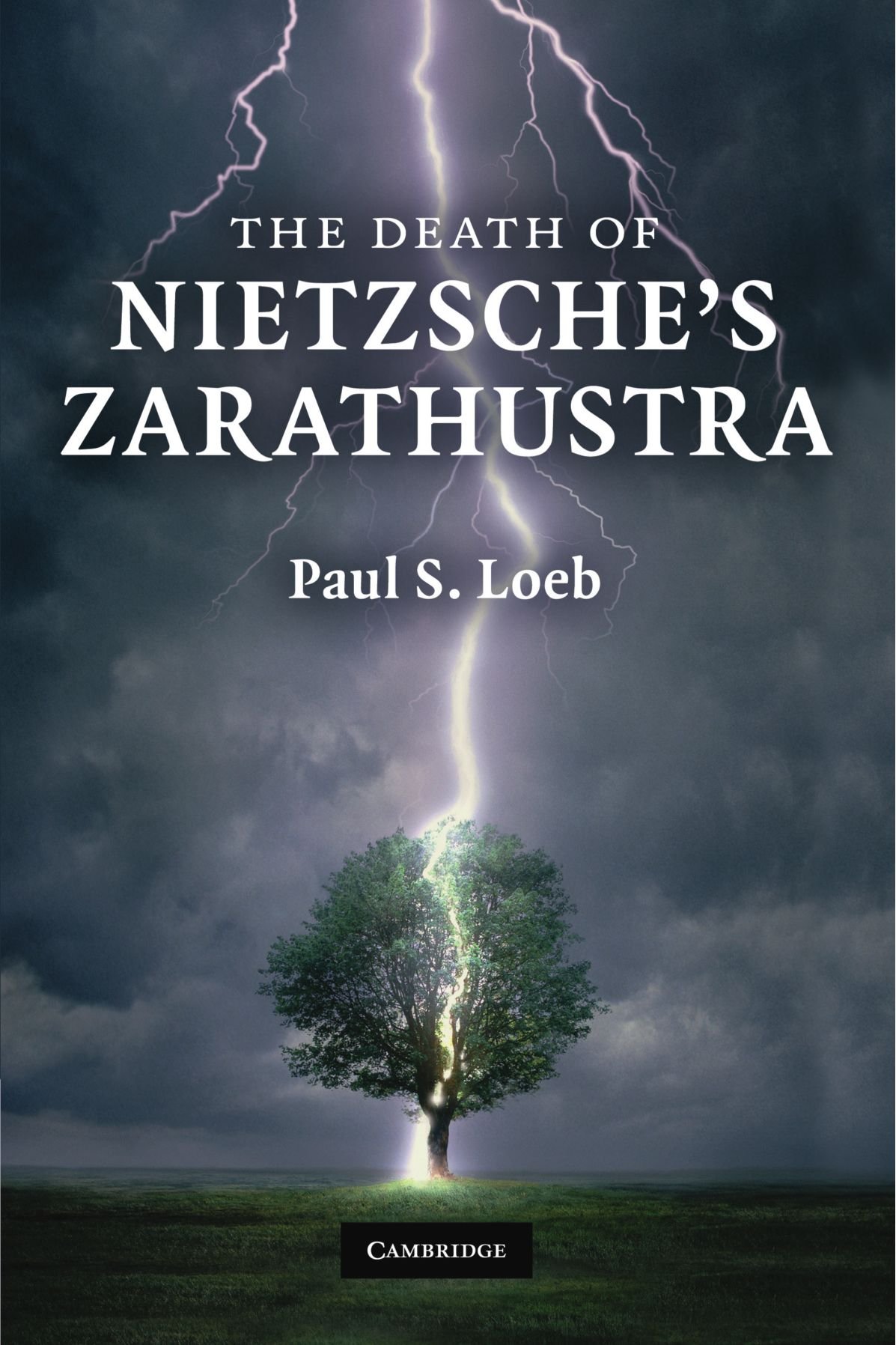 The Death of Nietzsche's Zarathustra