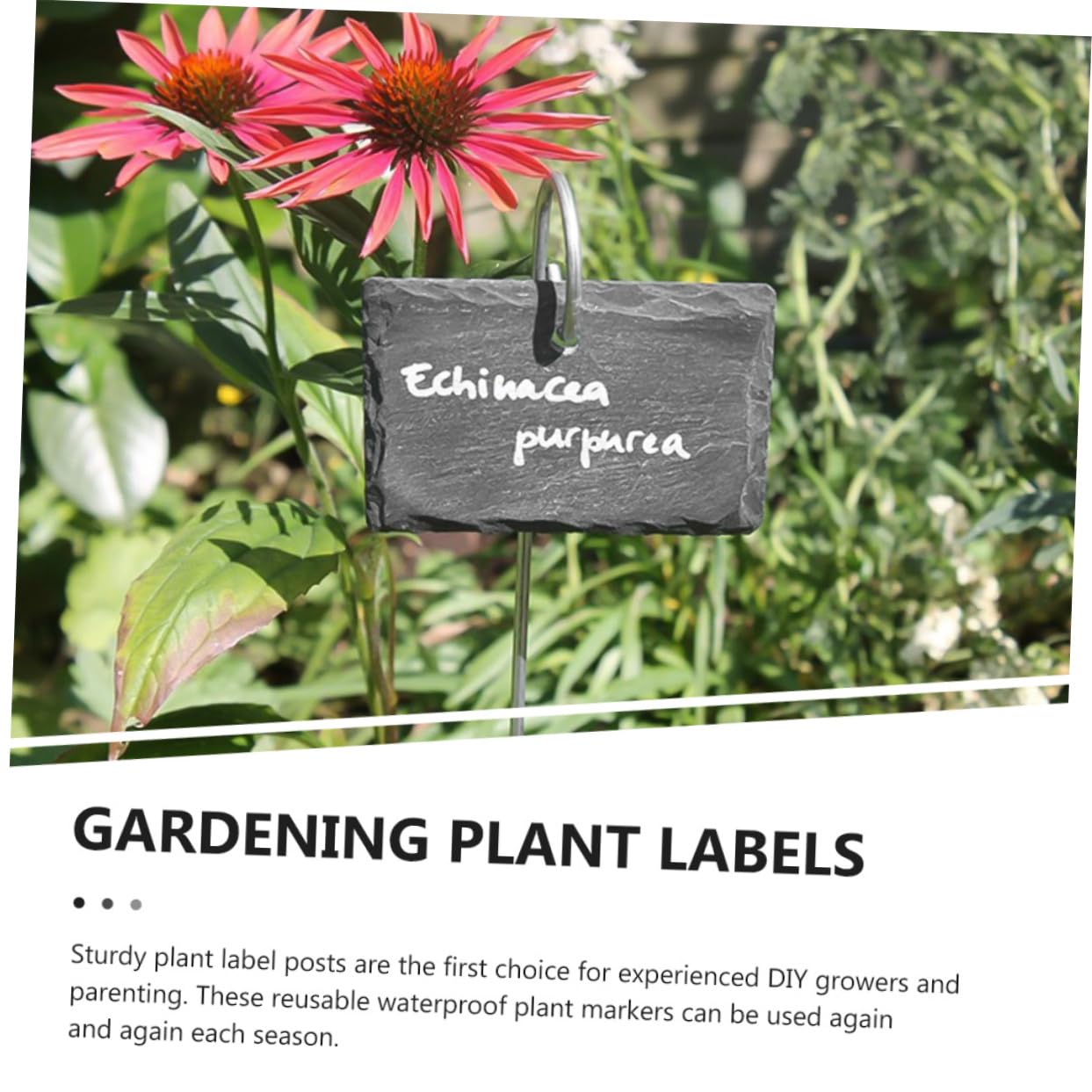 BESPORTBLE Etichette per Piante in Ardesia Nera, Facili da Scrivere, Leggere e Portatili, per Fioriere e Aiuole, Accessori da Giardino