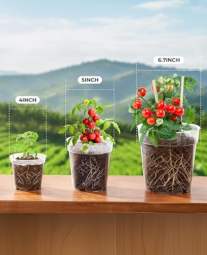 Vista 62 de homenote Macetas transparentes para vivero, maceta de 3/4/5 pulgadas para plantar plántulas de plástico con agujeros de drenaje, flor de iniciación