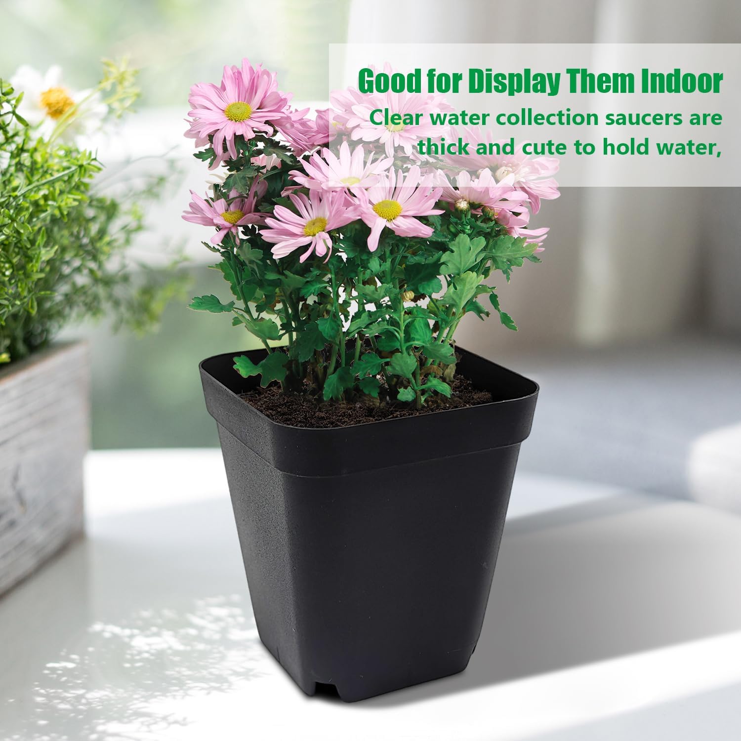 Square Nursery pots 4 Inches 60Pcs, Seedling Plastic Seeds propogation Growing Pots (Black,4Inches,60Pcs) - Image 7