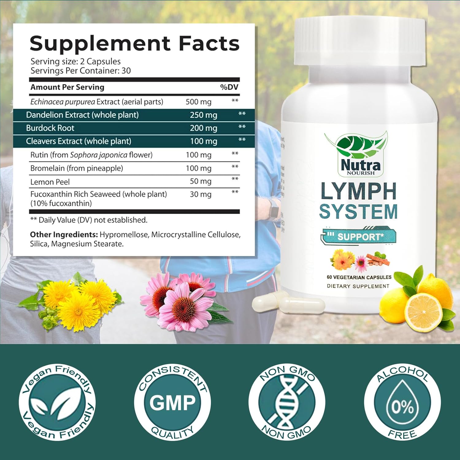 Lymphatic Drainage Supplement with Dandelion,Echinacea & Bromelain Extracts, Lymph System Support for Men and Women - 60 Count Bottles (1) - Image 2