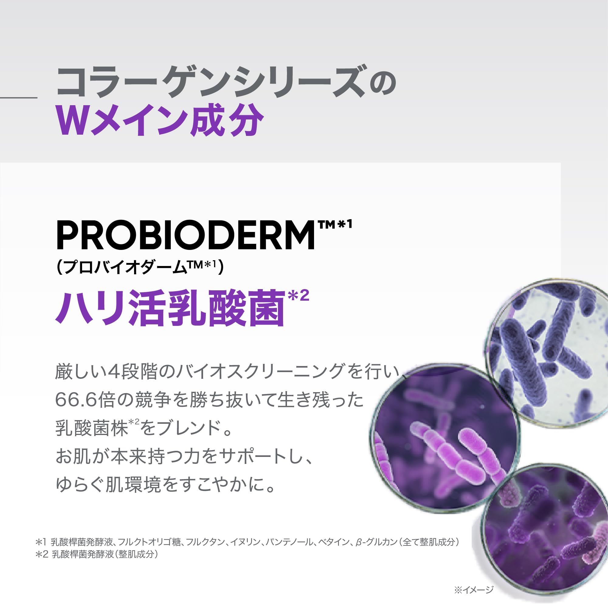 Amazon | バイオヒールボ(BOH)プロバイオダーム コラーゲンリ