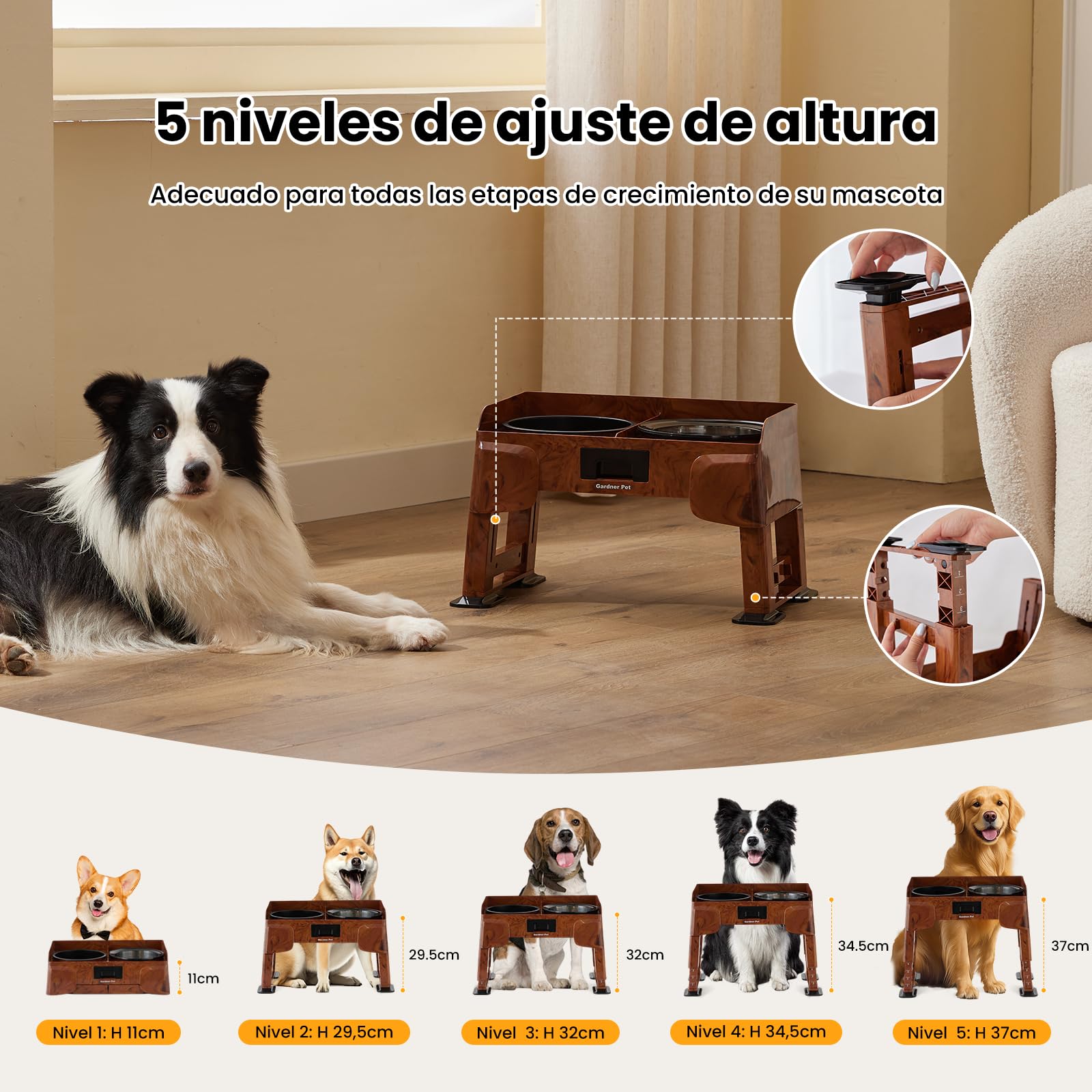Gardner Pet Comedero Elevado para Perro con 5 Alturas Ajustables, Comedero de Acero Inoxidable Antivuelco y Antiglotón con 2 Boles de 1.6L, Ideal para Perros Medianos y Grandes
