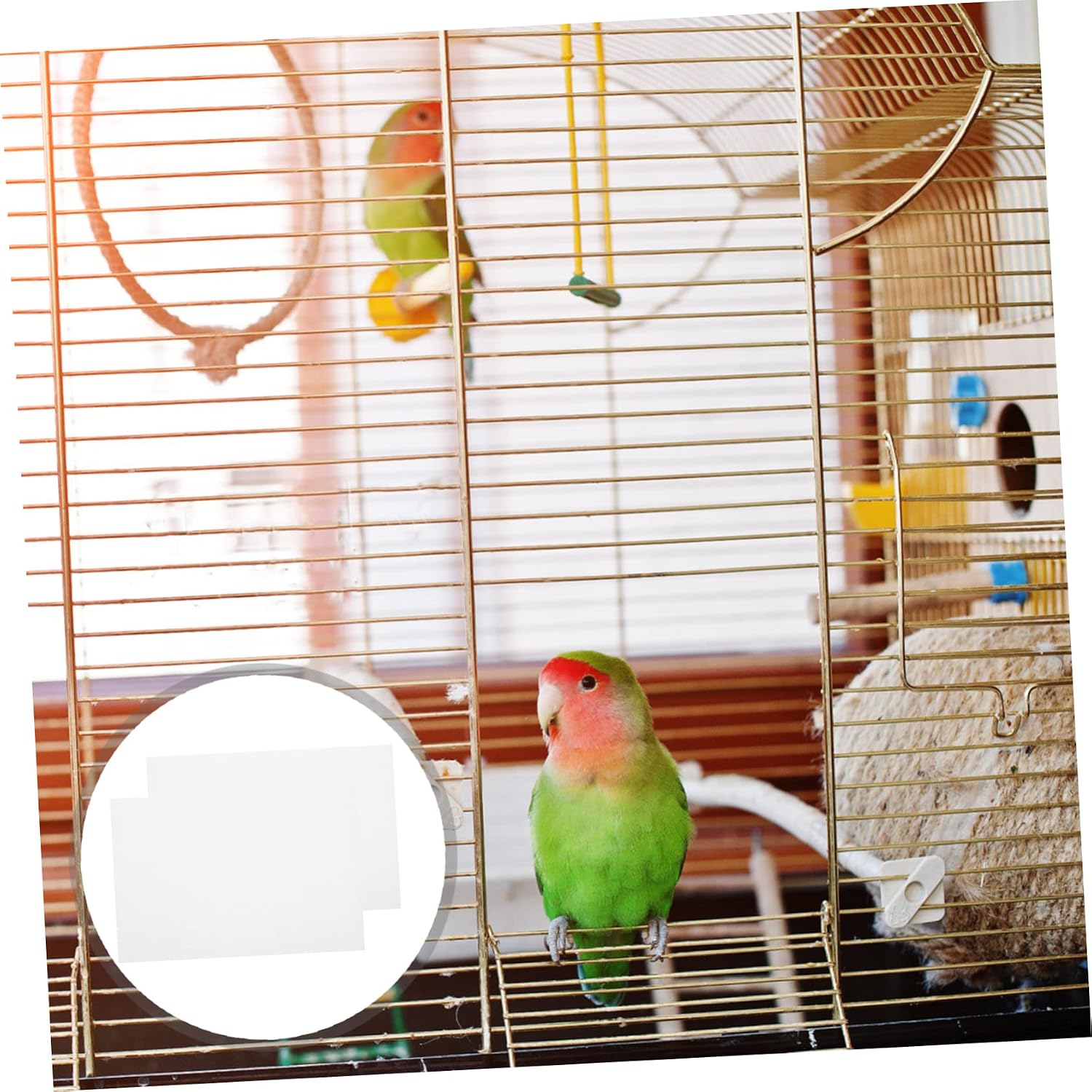 Toddmomy 100Pcs Bird Cage Liners Absorbent Mat for Parrot Parakeet Cockatiel Cages Paper Pads for Easy Cleaning