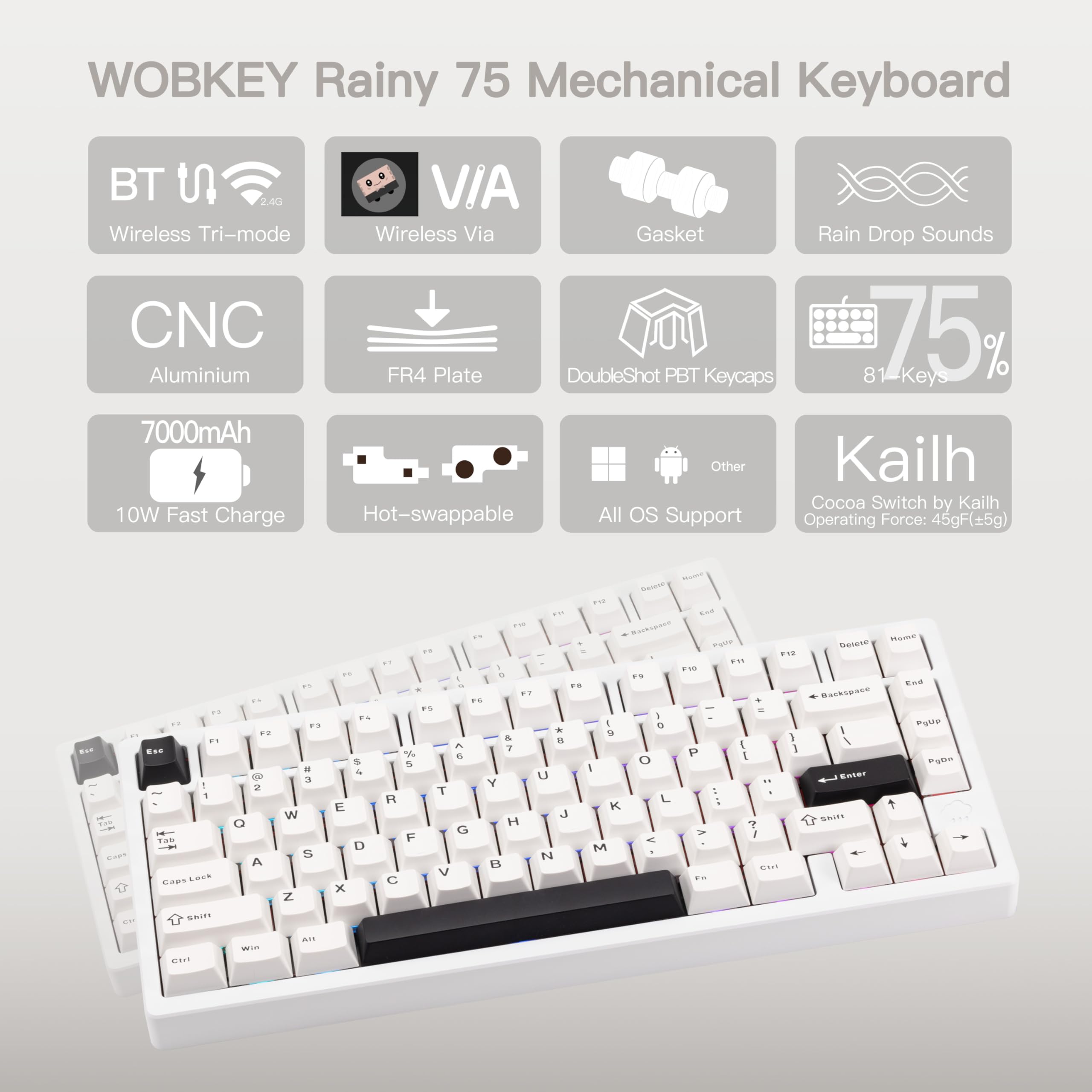 Amazon.com: KEEBMONKEY WOBKEY Rainy 75 CNC Aluminum HMX/JWK/Cocoa